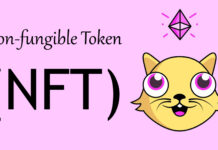 nft-token-crypto